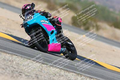 media/Oct-05-2024-Race Pace (Sat) [[aa7b44e117]]/9-Turn 14 (1135am)/